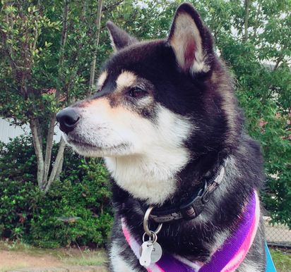 f:id:peko0421:20160924210559j:plain f:id:peko0421:20160924210559j:plain