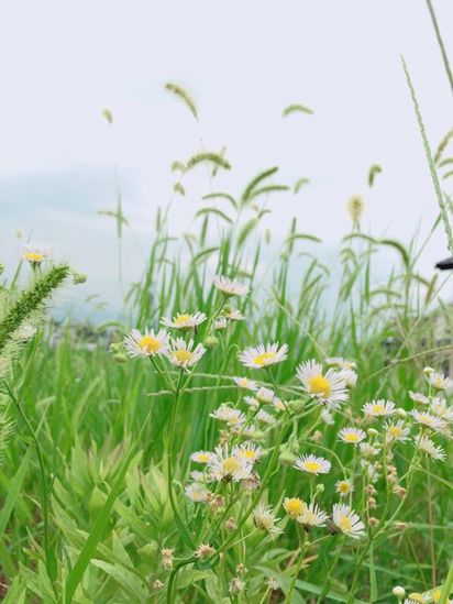 f:id:peko0421:20160924210926j:plain f:id:peko0421:20160924210926j:plain