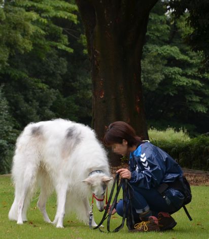 f:id:peko0421:20161010092507j:plain f:id:peko0421:20161010092507j:plain