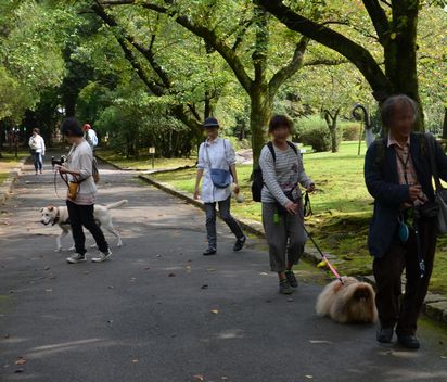 f:id:peko0421:20161010102208j:plain f:id:peko0421:20161010102208j:plain