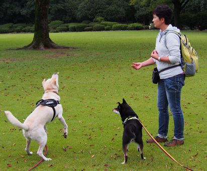 f:id:peko0421:20161010104017j:plain f:id:peko0421:20161010104017j:plain