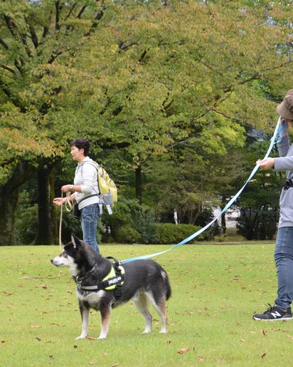 f:id:peko0421:20161010122917j:plain f:id:peko0421:20161010122917j:plain