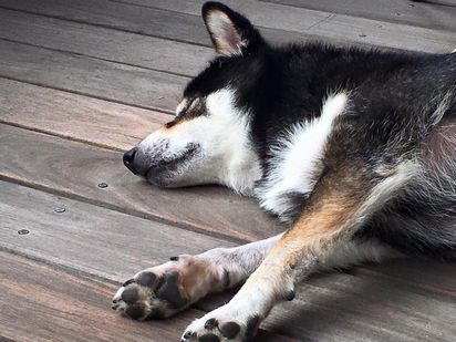 f:id:peko0421:20161029195006j:plain f:id:peko0421:20161029195006j:plain