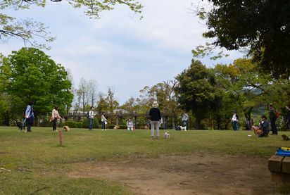 f:id:peko0421:20170430170655j:plain f:id:peko0421:20170430170655j:plain