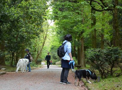 f:id:peko0421:20170430204204j:plain f:id:peko0421:20170430204204j:plain