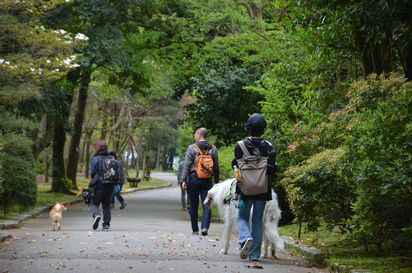 f:id:peko0421:20170430211736j:plain f:id:peko0421:20170430211736j:plain