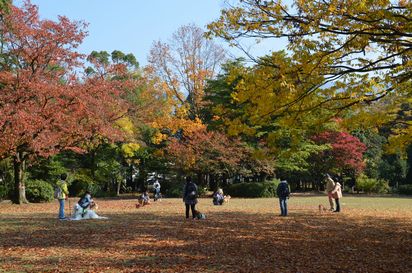 f:id:peko0421:20171111153741j:plain f:id:peko0421:20171111153741j:plain