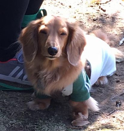 f:id:peko0421:20171111153907j:plain f:id:peko0421:20171111153907j:plain