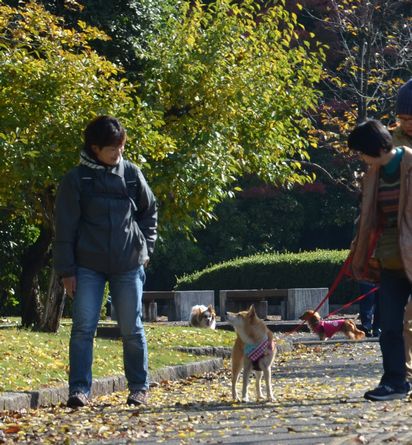 f:id:peko0421:20171111154803j:plain f:id:peko0421:20171111154803j:plain