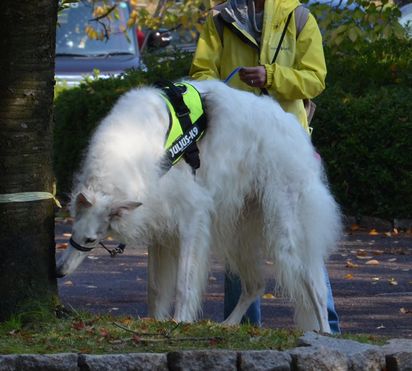 f:id:peko0421:20171111182350j:plain f:id:peko0421:20171111182350j:plain