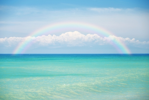 f:id:peko299:20190223195611j:plain