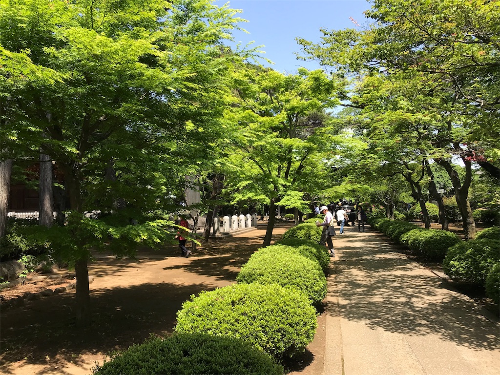 f:id:pekochannu:20180505115528j:image f:id:pekochannu:20180505115528j:image