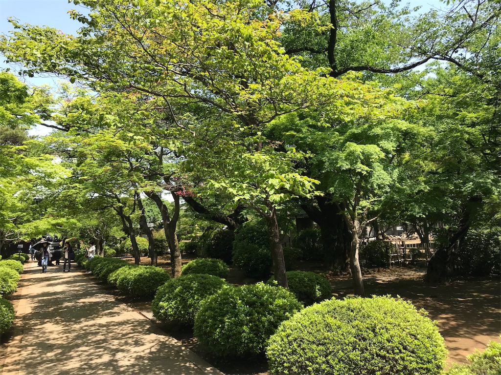 f:id:pekochannu:20180505115547j:image f:id:pekochannu:20180505115547j:image