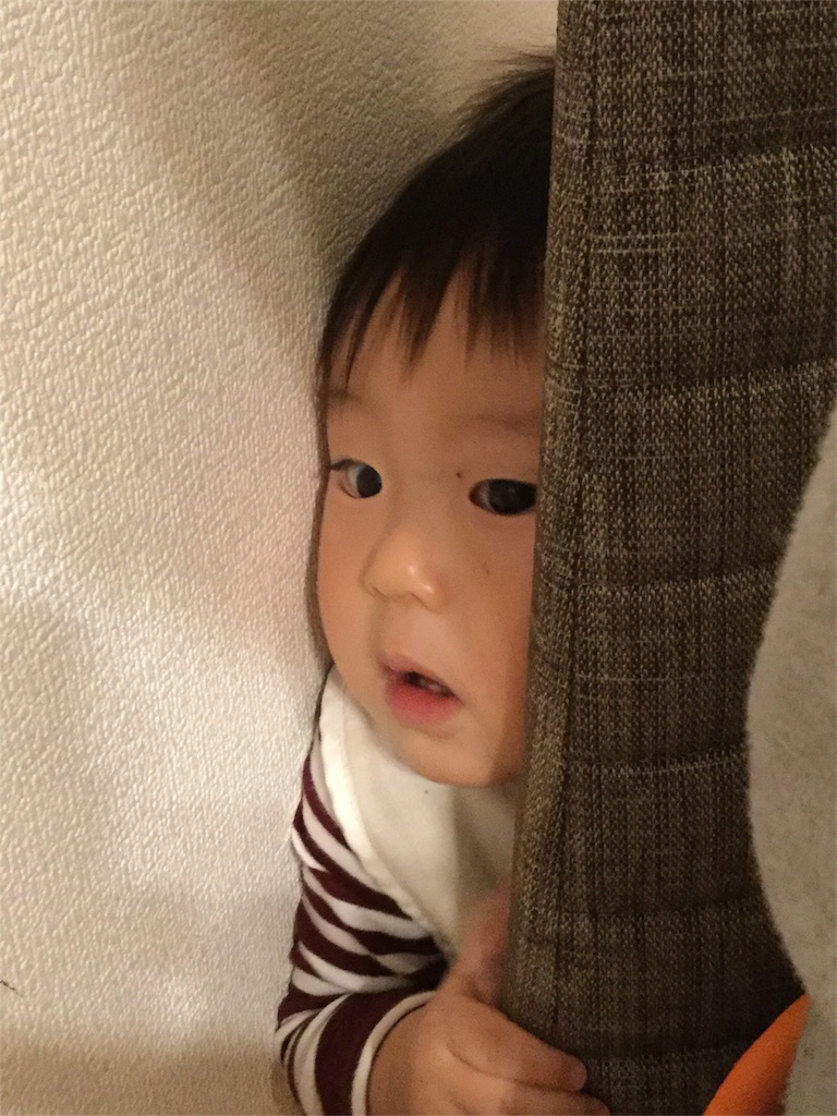 f:id:pekomogu:20161212130432j:image f:id:pekomogu:20161212130432j:image