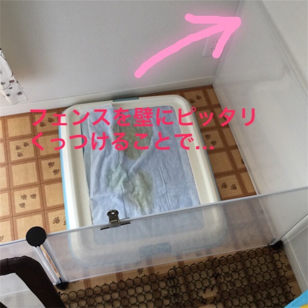 f:id:pekomogu:20161212131922j:image f:id:pekomogu:20161212131922j:image