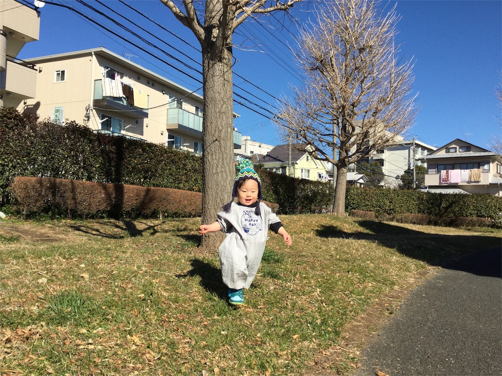 f:id:pekomogu:20170214212431j:image