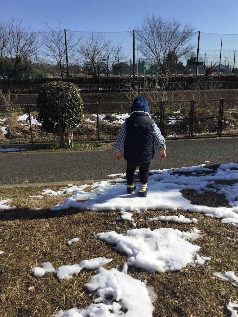 f:id:pekomogu:20180131225734j:plain f:id:pekomogu:20180131225734j:plain