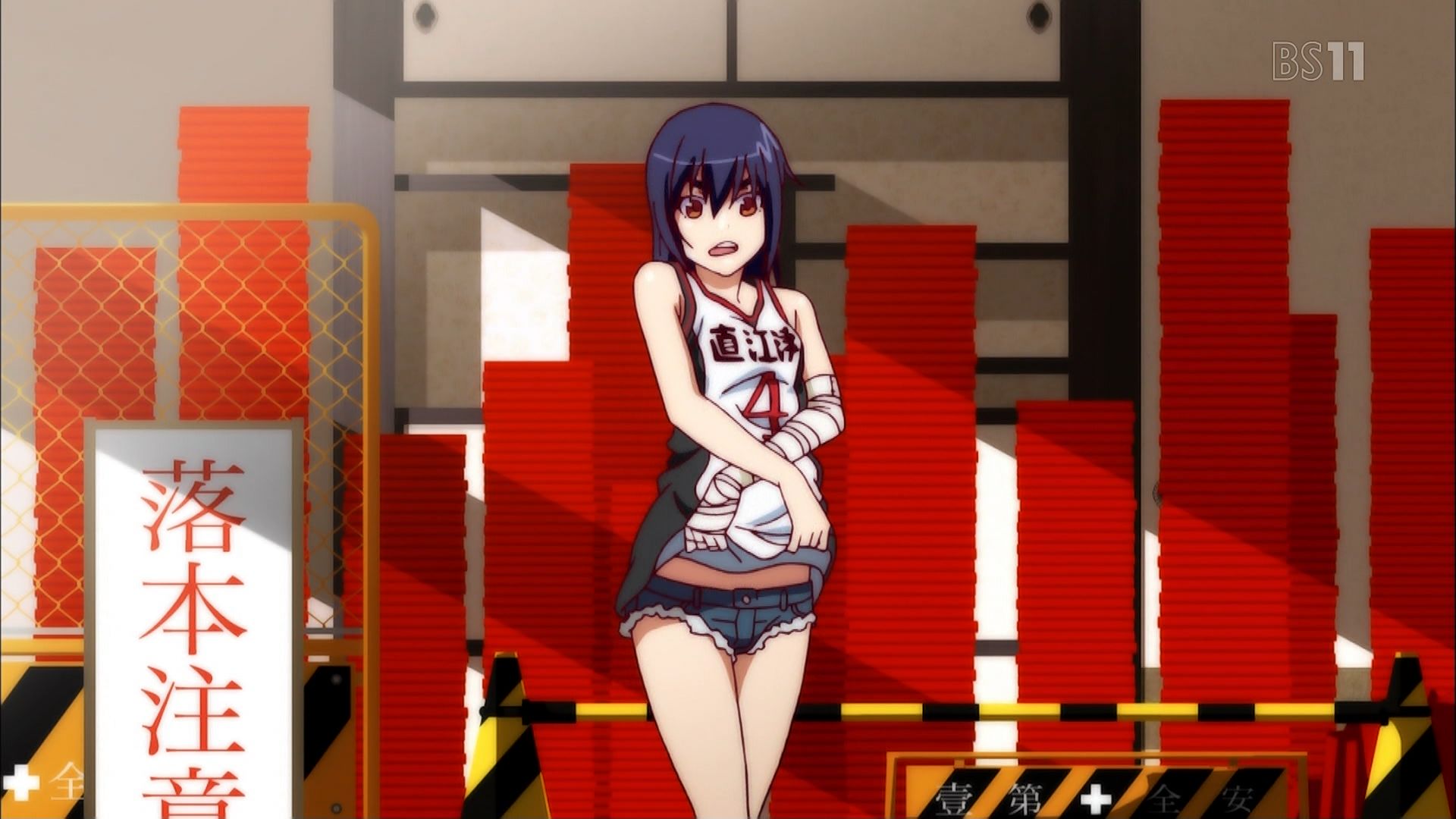 個別「[anime][化物語][偽物語][神原駿河]」の写真、画像 pema's fotolife