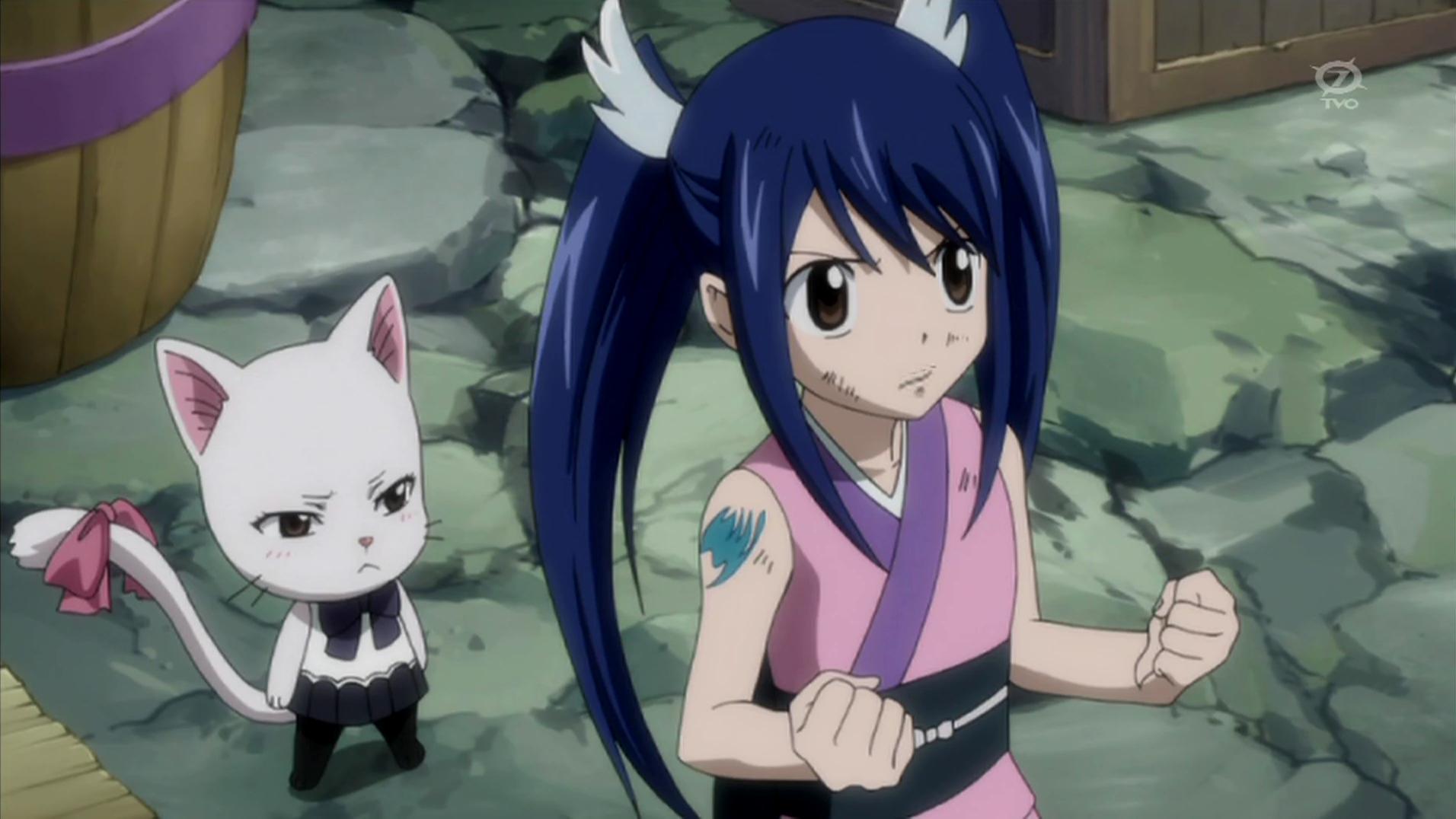 個別「[anime][FAIRY TAIL][ウェンディ・マーベル]」の写真、画像 pema's fotolife