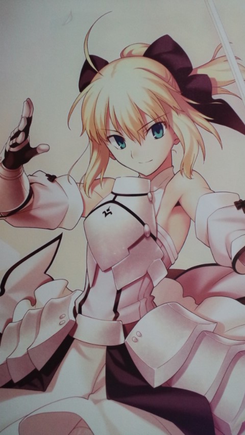 個別 Game Fate セイバー リリィ 武内崇 腋 Fate腋 の写真 画像 Pema S Fotolife