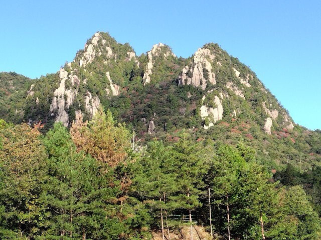 f:id:pen-jiro:20251103191939j:image