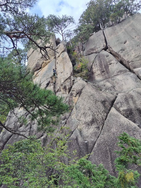f:id:pen-jiro:20251103191951j:image
