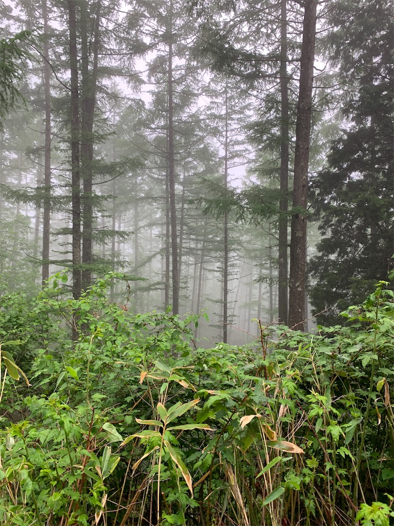 f:id:penceUK:20190617183858j:image f:id:penceUK:20190617183858j:image