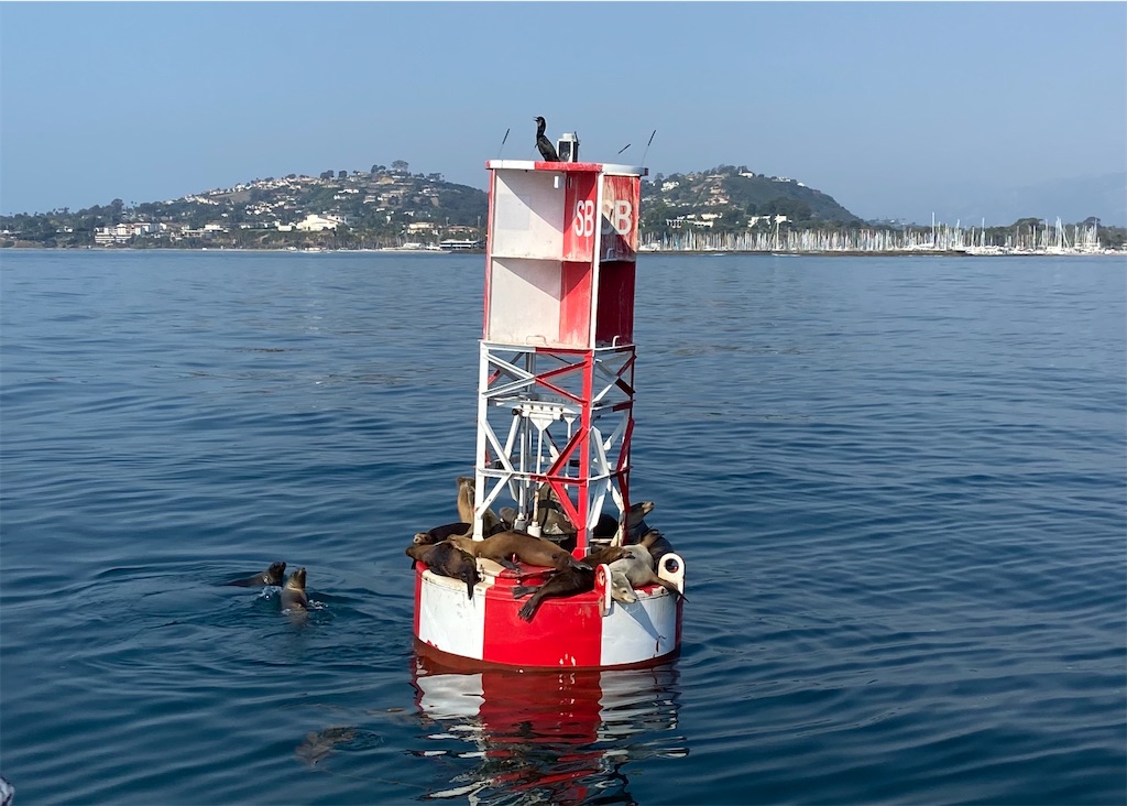 f:id:penchanUSA:20201007081844j:image