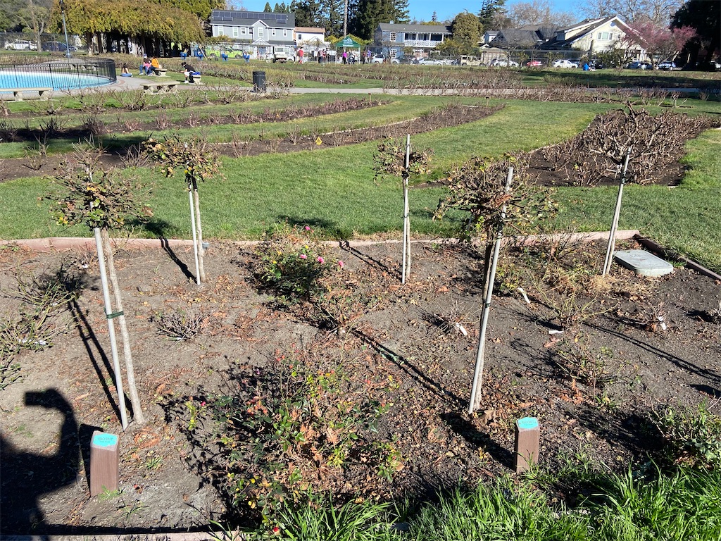 f:id:penchanUSA:20210118090255j:image