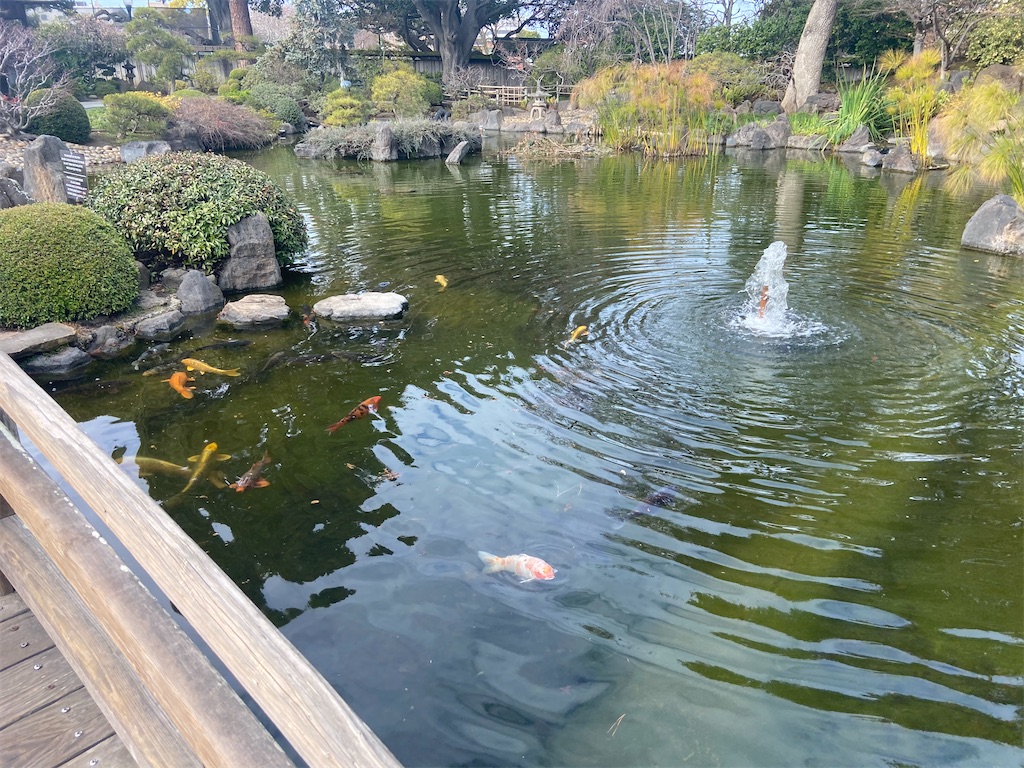 f:id:penchanUSA:20210201022204j:image f:id:penchanUSA:20210201022204j:image