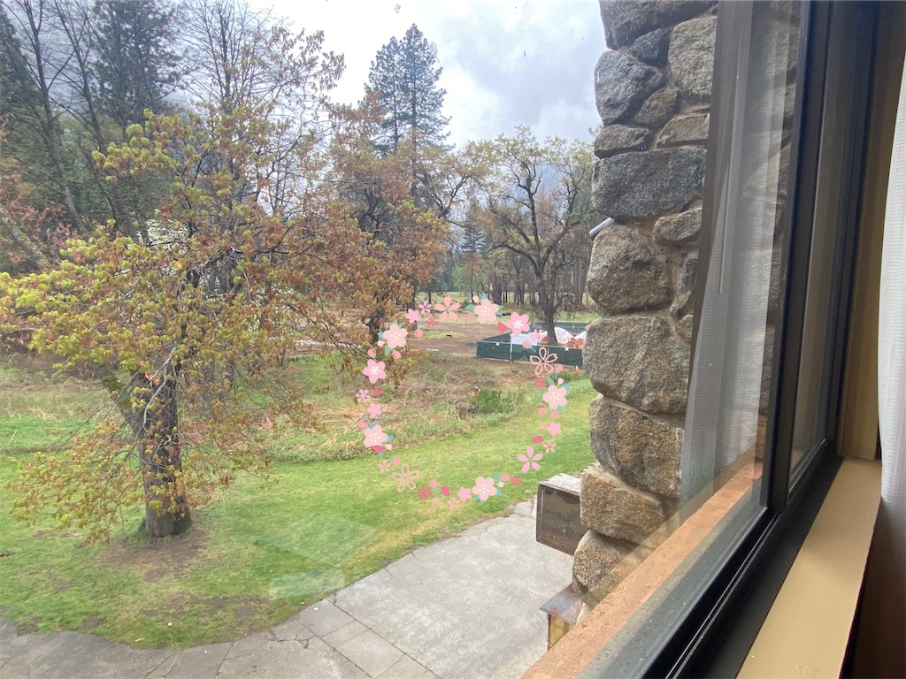 f:id:penchanUSA:20210430154238j:image
