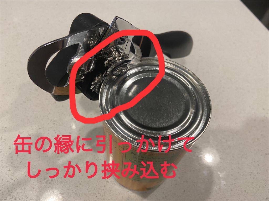 f:id:penchanUSA:20210518130816j:image