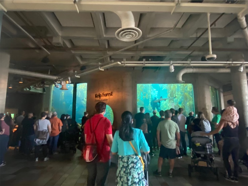 f:id:penchanUSA:20211223051411j:plain