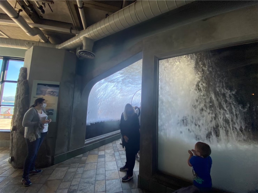 f:id:penchanUSA:20211223051515j:plain