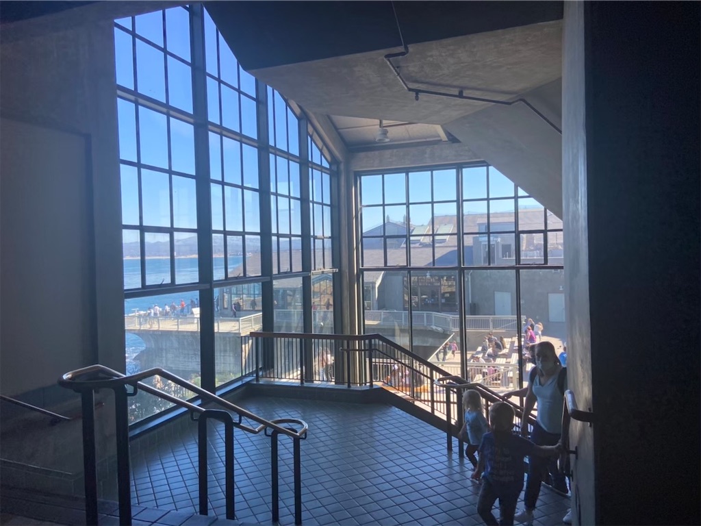 f:id:penchanUSA:20211223051631j:plain