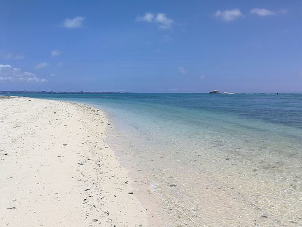 f:id:penchosan:20190605082745j:plain:w400 f:id:penchosan:20190605082745j:plain:w400