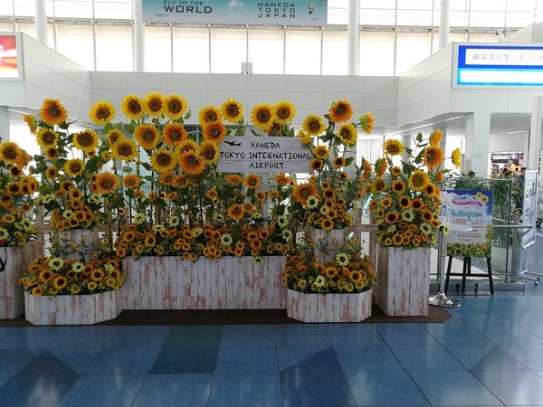 f:id:penchosan:20190730172300j:plain f:id:penchosan:20190730172300j:plain