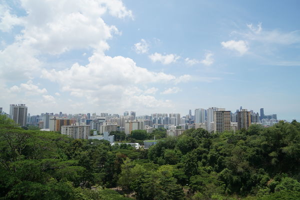 f:id:penchosan:20190821110441j:plain:w400 f:id:penchosan:20190821110441j:plain:w400