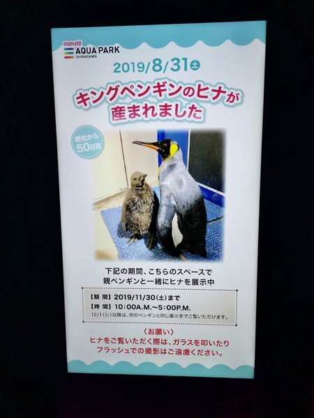 f:id:penchosan:20191111164445j:plain f:id:penchosan:20191111164445j:plain