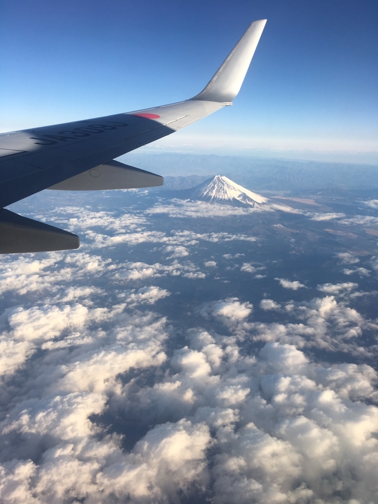 f:id:pengin-blog:20190128002834j:plain