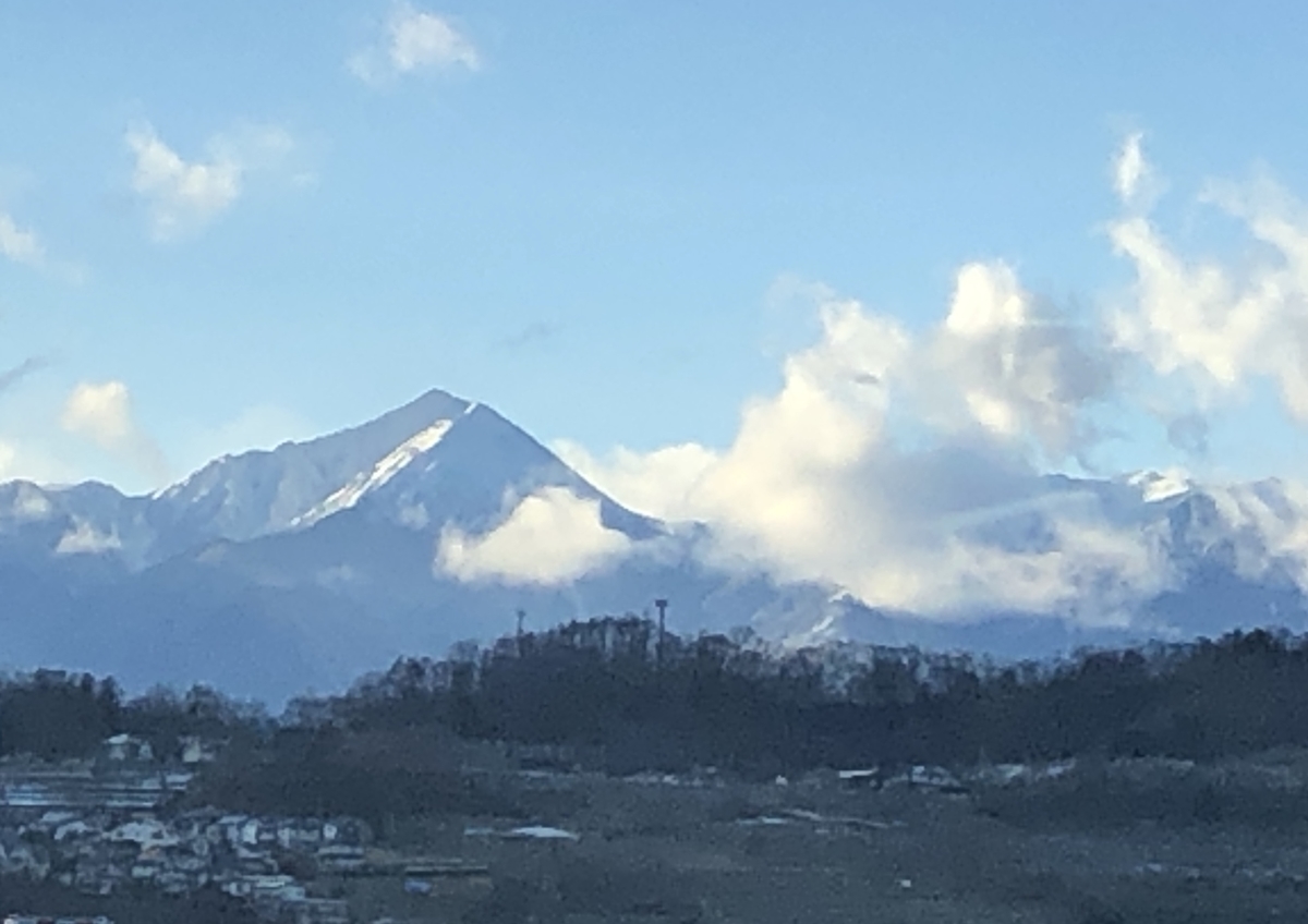 f:id:pengin-dou:20201111233855j:plain