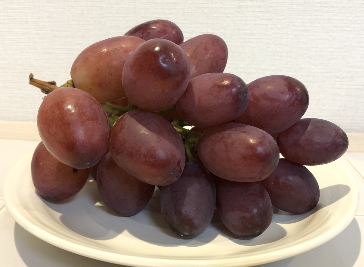 新種ぶどう「クイーンルージュ®」を食す！ - 信州松本ぺんぎん堂