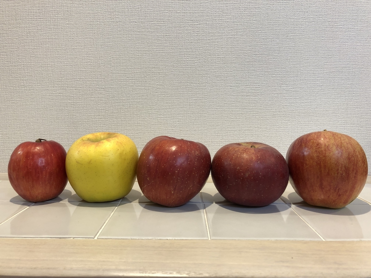 f:id:pengin-dou:20211115225723j:plain