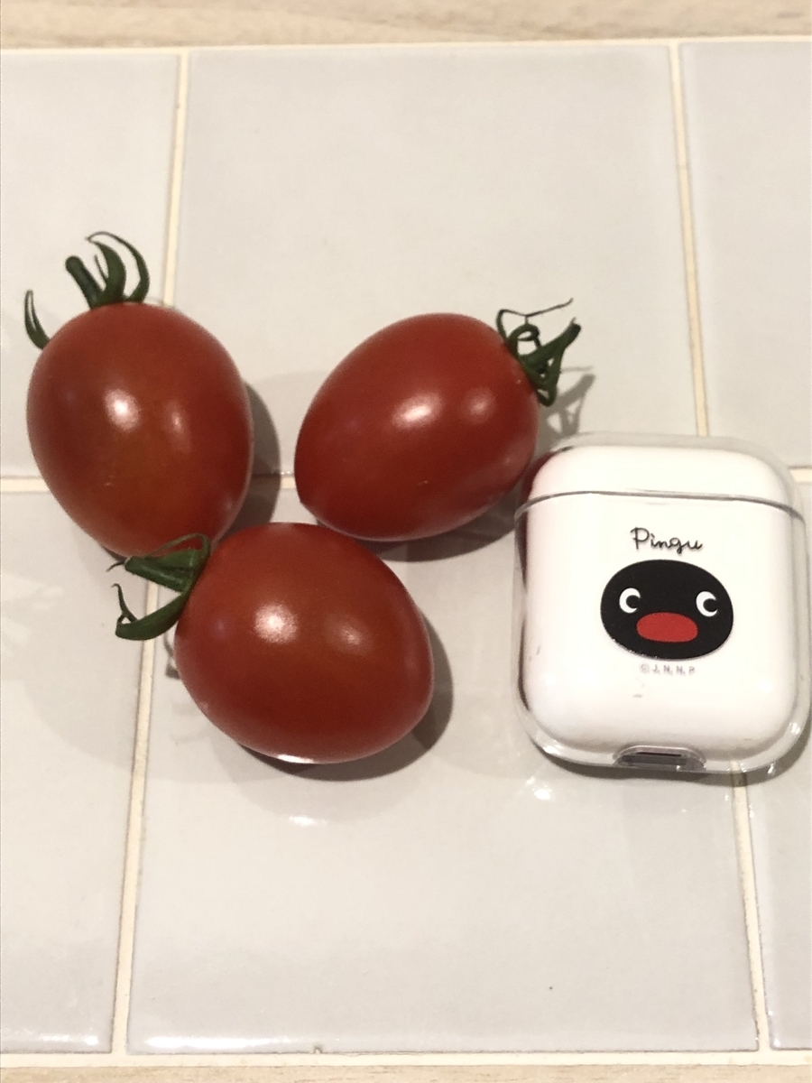 f:id:pengin-dou:20220331232115j:plain