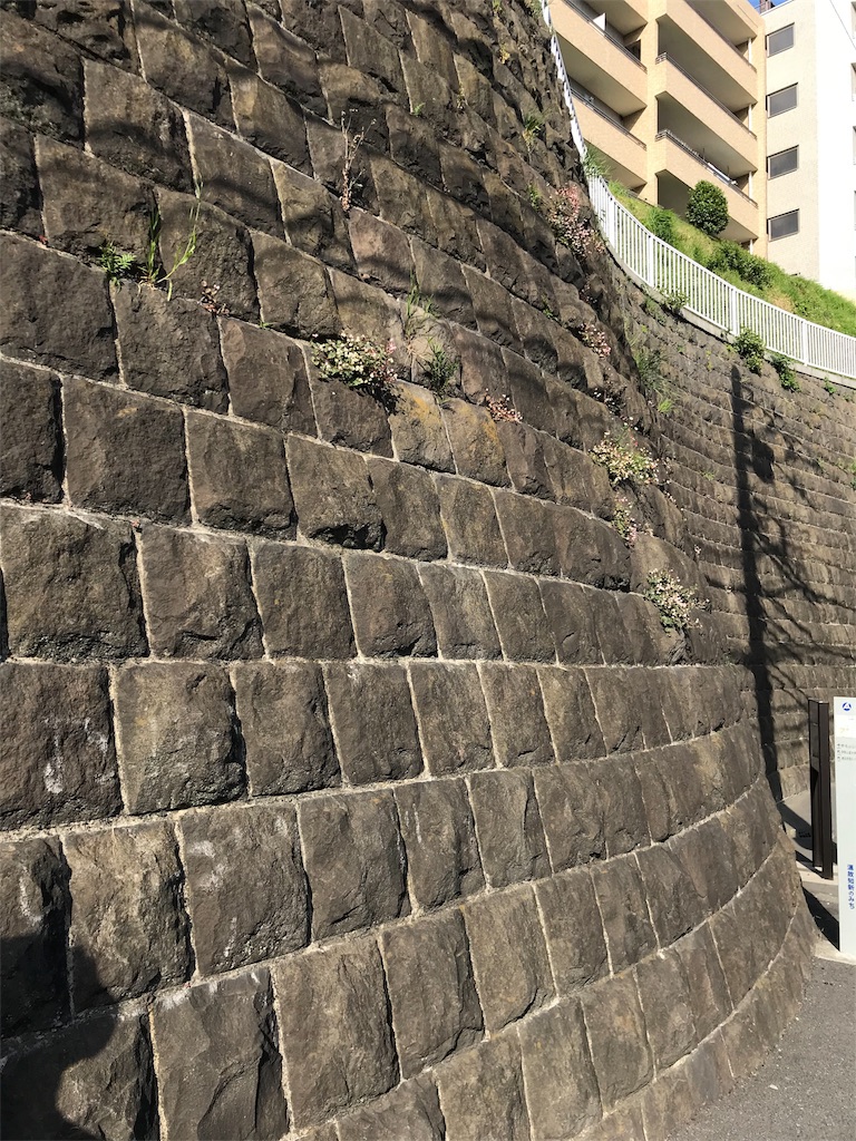 f:id:penguin-kn:20180429171401j:image f:id:penguin-kn:20180429171401j:image