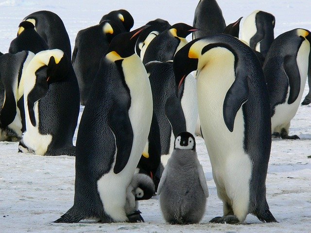 f:id:penguin-kn:20191225043117j:plain f:id:penguin-kn:20191225043117j:plain
