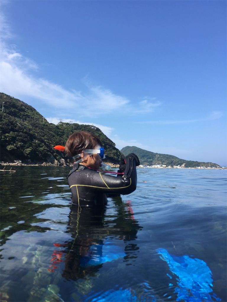 f:id:penguin_tulip:20180727181733j:image f:id:penguin_tulip:20180727181733j:image
