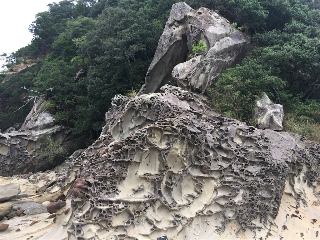 f:id:penguin_tulip:20180727181802j:image f:id:penguin_tulip:20180727181802j:image
