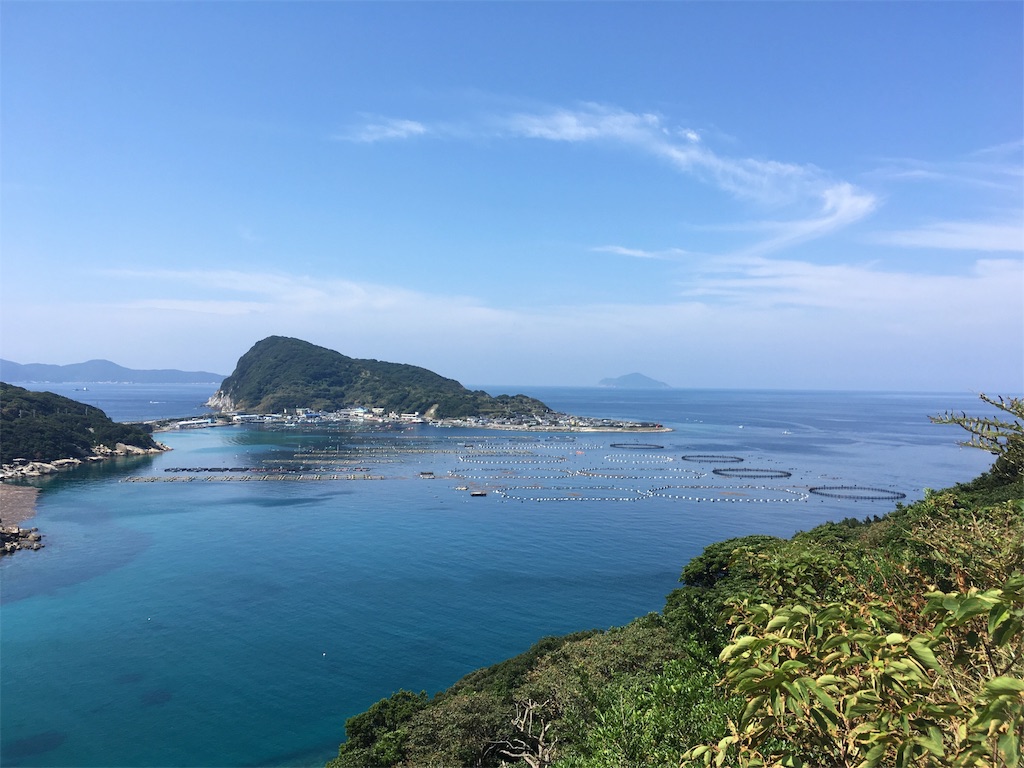 f:id:penguin_tulip:20180727181805j:image f:id:penguin_tulip:20180727181805j:image