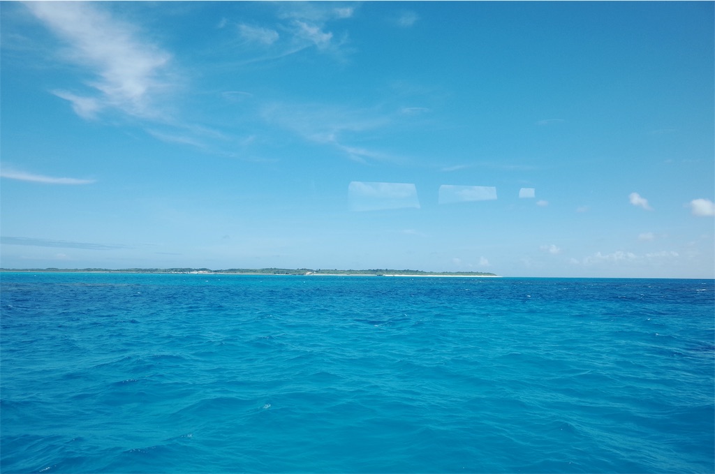 f:id:penguin_tulip:20190310224025j:image